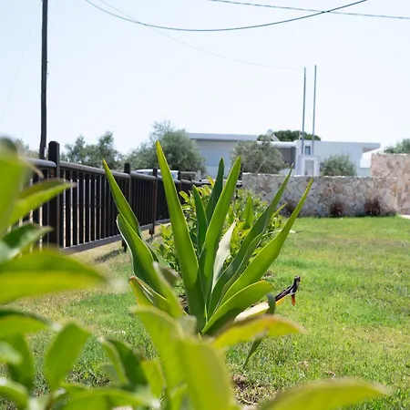 Stone And Sea Oasis * Kos Town